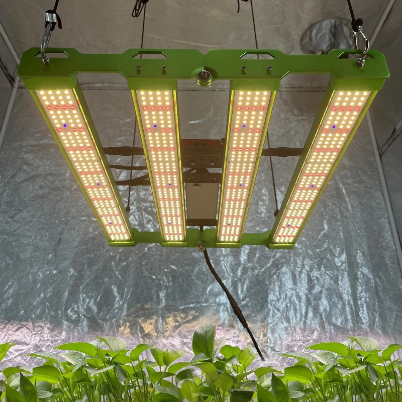 KingBrite P55 240W LED Grow Light - Full Spectrum Samsung LM301H
